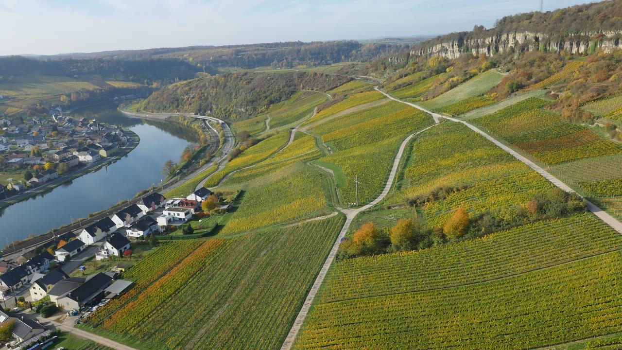Weingut Und Gaestehaus Apel Nittel Ngoại thất bức ảnh